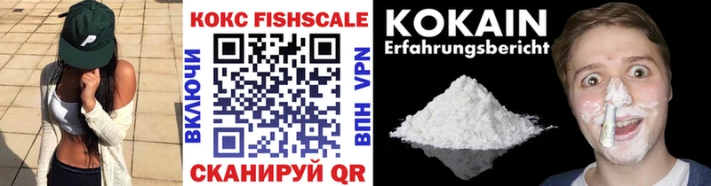 Кокаин Fish Scale  купить  цена  OMG ONION  Назарово 