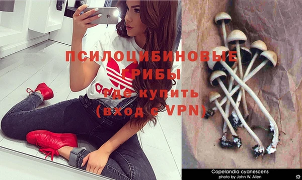 mdpv Верея