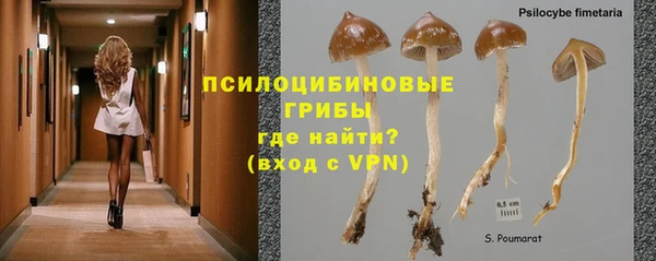 дурь Верхнеуральск