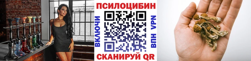 Галлюциногенные грибы Cubensis Назарово